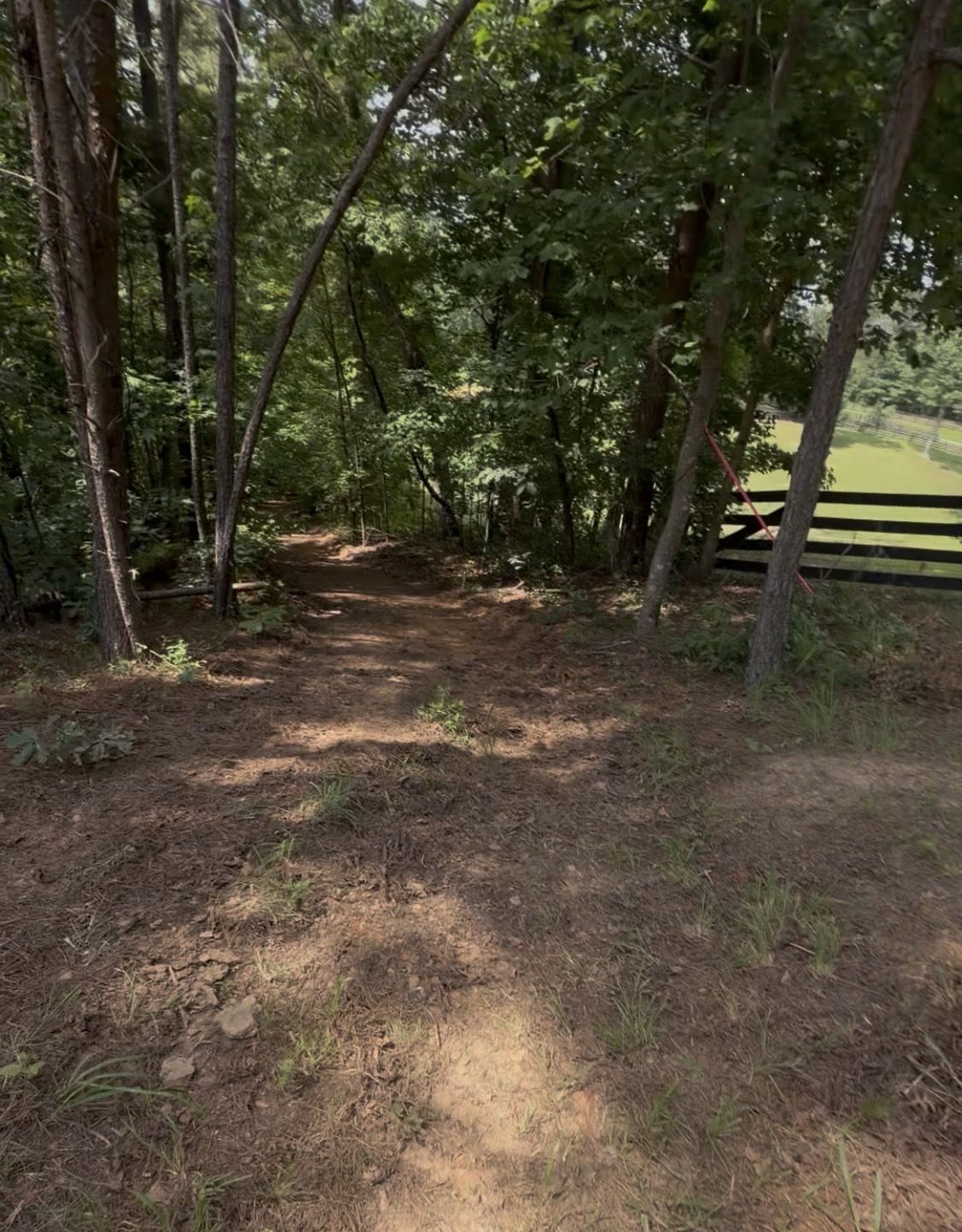 The private half-mile nature trail through the woods